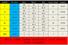 Load image into Gallery viewer, Fashion Lantern Sleeve pleated skirt two piece set AY1932