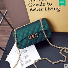 Load image into Gallery viewer, Hot jelly bag LC1060