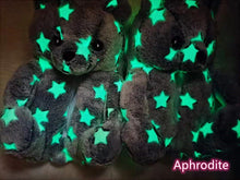 Load image into Gallery viewer, New style teddy bear plush cotton slippers HPSD108